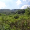 광진리경로당 이미지