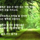 홀로사는즐거움 / 법정스님 이미지