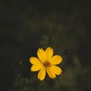 스마트가드너 이미지