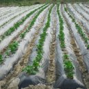 제현농장 이미지