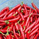 호연농장 이미지