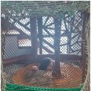 쥬디스펜션 이미지