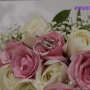 강남잉꼬결혼 이미지