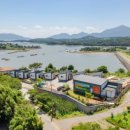 안녕비토 이미지