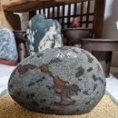 개미와배짱이 이미지