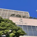 캘리그라피(야) | 부산 오마카세 추천｜ 기념일에 딱이었던 파라다이스호텔부산 사까에 스시 오마카세 솔직 후기 (주말 런치)