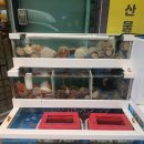 (주)코리아세븐 일산무궁화로점 | 일산 정발산동 횟집, 피쉬톡(내돈내산) 후기
