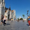 팬플루트(야간) 이미지