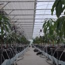 덕지농장2 이미지