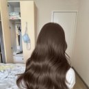 웜브라운