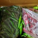 청홍농장 이미지