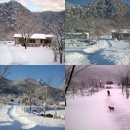 샛들민박 이미지