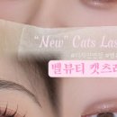 벨뷰티 - 서초구 강남대로 224 | 벨뷰티