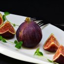 우리 강아지 이미지