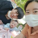 앙팡독 | ~5/21 요즘일기 : 마곡하늬공원/요거트볼/일산호수공원/아기주식계좌만들기/수제레몬티/앙팡토토서포터즈
