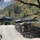 [사찰 탐방기] 경상우도 ‘으뜸’ 사찰, 산청 지곡사