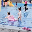 우산수영장카페