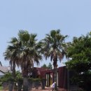 허브농원 이미지