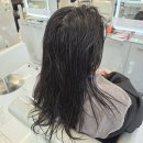 반송동196 | 동탄 반송동 미용실 추천 | 긴머리 레이어드컷 C컬펌 헤어다이아 민생지원 소비쿠폰 사용 후기