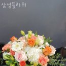 신분당플라워
