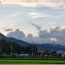 수승대농협주유소 이미지