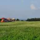 함덕왕갈비탕 이미지