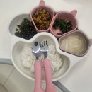 스푼 | 아기 식기 에디슨 실리콘 스푼 포크 세트 내돈내산 후기