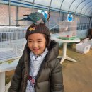 건영승마장 이미지