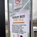 새만포면옥 이미지