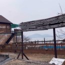 올랑고디또 이미지