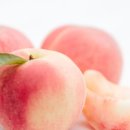 이준 농장 이미지