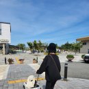 오성꿩농장 | 평택 아이랑 주말 나들이 [평택시 농업생태원] 이용꿀팁 및 후기