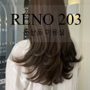 리노203(RENO203) | 대전미용실, 둔산동미용실추천 : 염색 잘하는 곳으로 강추 RENO 203
