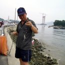 마창대교 옆 이미지