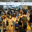 바글바글 이미지