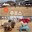 무프스