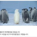 화