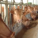 주민축산 이미지