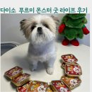 굿라이프 | 다이소 고양이캔 강아지캔 푸르미 몬스터 굿 라이프 후기