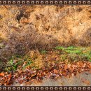 외딴농장 이미지