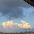 곽지머물다 이미지