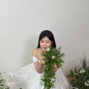 W34.대구 웨딩 플라워디렉팅 추천 ‘심플리유얼스’/부케 맛집/내돈내산/스튜디오 촬영 후기