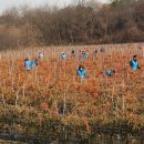 행복한자원봉사센터 이미지