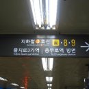 명보투어