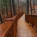 산음자연휴양림 이미지