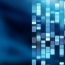 트리사라 이미지