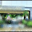 상서중고등학교 - 4005 | 상서중고등학교
