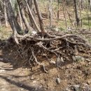 야생화마을펜션민박 이미지