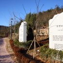 세계모란공원 이미지