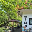 1313 | 태교여행 하동 베이커리 맛집 양보제과 소보로밤빵 후기